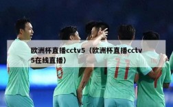 欧洲杯直播cctv5（欧洲杯直播cctv5在线直播）