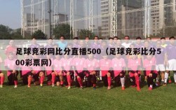 足球竞彩网比分直播500（足球竞彩比分500彩票网）