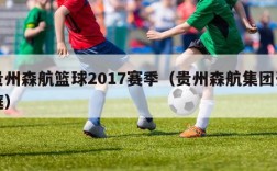 贵州森航篮球2017赛季（贵州森航集团开庭）