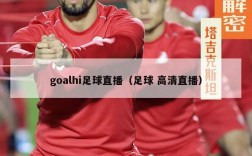 goalhi足球直播（足球 高清直播）