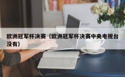 欧洲冠军杯决赛（欧洲冠军杯决赛中央电视台没有）