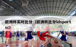 欧洲杯实时比分（欧洲杯比分ldsportsc）